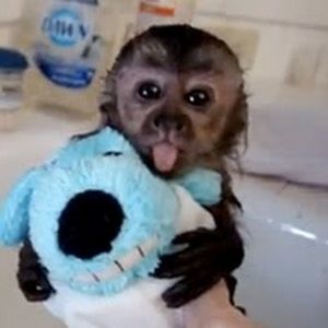 Meet your Posher, Shalini